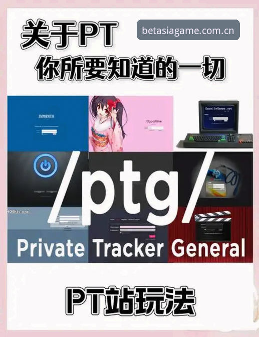 BET亚洲平台使用教程与安装必备知识：从零开始的完整指南